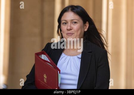 Londres, Royaume-Uni. 08 juillet 2025. Lisa Nandy, lors d'une réunion du cabinet au 10 Downing Street London. Crédit : Ian Davidson/Alamy Live News Banque D'Images