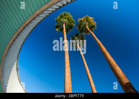 Hôtel de ville, Palm Springs, Californie Banque D'Images