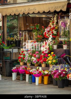 Un étal de fleurs traditionnel, 'la Flor de la Rambla', exposant des bouquets colorés et des plantes à vendre dans la célèbre rue de Barcelone, en Espagne. Banque D'Images