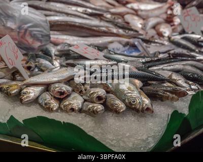 Poisson et fruits de mer frais, y compris le maquereau, exposés sur de la glace pilée dans un étal de poissonnerie au marché alimentaire de la Boqueria, Barcelone, Espagne. Banque D'Images