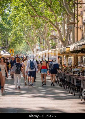 Les gens et les touristes marchant le long de la célèbre promenade bordée d'arbres la Rambla, un centre d'activité populaire à Barcelone, en Espagne. Banque D'Images