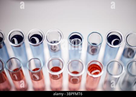 Gros plan montrant plusieurs tubes à essai en verre remplis de divers liquides colorés disposés en rangées sur une table de laboratoire, équipement de laboratoire scientifique en cours de préparation pour l'analyse chimique Banque D'Images