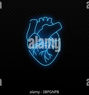 Représentation artistique anatomique bleu fluo coeur brillante dans un style minimaliste Illustration de Vecteur
