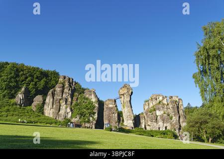 L'Externsteine, une formation rocheuse de grès d'environ 40 mètres de haut dans la forêt de Teutoburg, est un point de repère naturel et un naturel protégé et cultura Banque D'Images