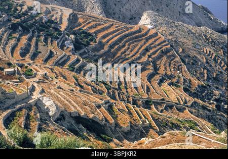 Diapositive scannée d'une photographie historique en couleur de champs agricoles en terrasses sur l'île grecque de Paros vue aérienne, Naxos, Grèce, Europe Banque D'Images