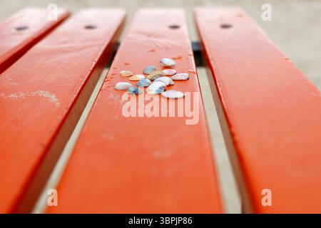 Diverses petites collections de coquillages et de cailloux sont dispersées sur un banc en bois orange sur la plage. Banque D'Images