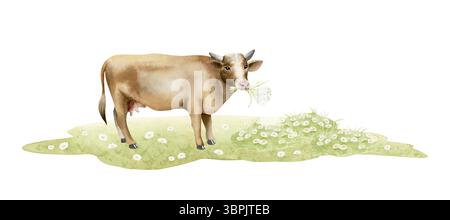 Vache brune pâturante sur l'illustration de l'aquarelle de prairie d'herbe verte isolée sur blanc. Animal de ferme de pâturage avec bouquet de fleurs sauvages clip art pour le village Banque D'Images