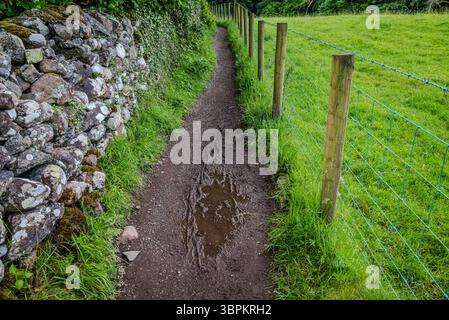Une étroite ruelle de terre serpente entre un mur de pierre et une clôture en fil de fer bordant un champ agricole, capturant le charme rustique de la campagne du Lake District Banque D'Images
