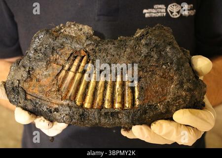 24 juin 2020, Jérusalem, Israël : des archéologues découvrent une réserve de munitions utilisées par les forces jordaniennes pendant la guerre des six jours de 1967 dans une citerne sous les tunnels du mur occidental datant de la période du mandat britannique en Palestine qui a pris fin en 1948. Find comprend 10 magazines complets pour les mitrailleuses légères Bren produites en Grande-Bretagne par Greenwood et Batley Ltd en 1956, des baïonnettes pour les fusils britanniques Lee Enfield et des pièces de fusil. (Crédit image : © Yoli Schwartz - IAA via ZUMA Wire) Banque D'Images