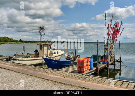 16 juin 2025 - Kamminke-Allemagne : bateaux de pêche traditionnels amarrés au port de Kamminke sur l'île d'Usedom, avec engins de pêche et drapeaux UEDN Banque D'Images