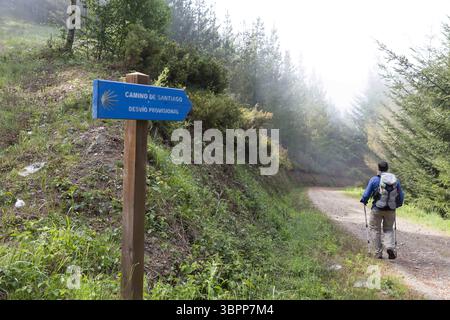 22 mai 2018, Grandas, Asturies, Espagne : un pèlerin fait un détour entre les villages de la Mesa et Grandas de Salime en raison des récents incendies de forêt le long du Camino Primitivo. Cet itinéraire moins fréquenté du pèlerinage du Camino de Santiago s'étend au sud-ouest de la capitale asturienne Oviedo, rejoignant finalement le Camino Frances et se terminant à Saint-Jacques-de-Compostelle, en Galice. (Crédit image : © Paul Christian Gordon/ZUMA Wire) Banque D'Images