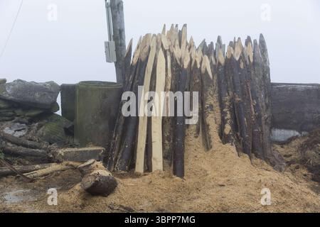 19 mai 2018, la Espina, Asturies, Espagne : poteaux grossiers sur une ferme près du village de la Espina le long du Camino Primitivo. Cet itinéraire moins fréquenté du pèlerinage du Camino de Santiago s'étend au sud-ouest de la capitale asturienne Oviedo, rejoignant finalement le Camino Frances et se terminant à Saint-Jacques-de-Compostelle, en Galice. (Crédit image : © Paul Christian Gordon/ZUMA Wire) Banque D'Images