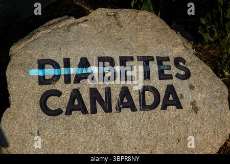 Statue de Sir Frederick G Banting à Banting Square à London Ontario Canada Banque D'Images
