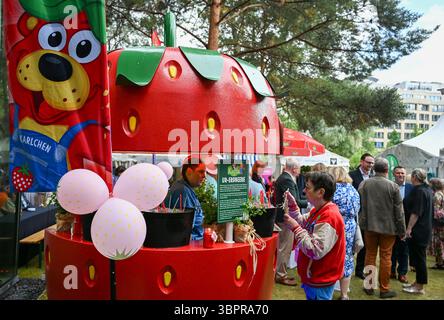 Berlin, Allemagne. 07 juillet 2025. Un stand de fraises de Karls à la soirée d'été MV à la représentation de l'État de Mecklembourg-Poméranie occidentale. Crédit : Jens Kalaene/dpa/Alamy Live News Banque D'Images