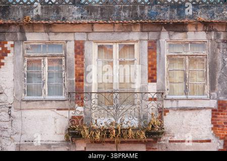 Verfall mit charme, eine morbide Häuserfassade in der Altstadt von Porto zeugt vom einstigen Glanz und den Herausforderungen des Erhalts historischer Bausubstanz. Der Verfall ist vielerorts sichtbar und steht im Kontrast zur touristischen Anziehungskraft der Stadt. *** Décadence avec charme, une faade de maison morbide dans la vieille ville de Porto témoigne de la splendeur ancienne et des défis de la préservation des bâtiments historiques. La pourriture est visible dans de nombreux endroits et contraste avec l attrait touristique de la ville. Portugal GMS19547 Banque D'Images