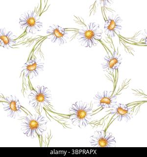 Motif aquarelle sans couture de couronnes de Marguerites. Illustration botanique avec des fleurs sauvages blanches. Isolé. Fond floral sans couture pour papier d'emballage Banque D'Images