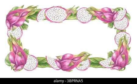 Aquarelle fruit de dragon et feuilles tropicales long bord horizontal isolé fond. Fruits roses entiers et tranchés à chair blanche rectangulaire temp Banque D'Images