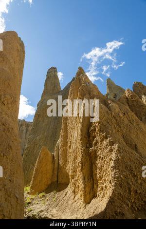 The Clay Cliffs - Pinnacles d'argile qui forment les Clay Cliffs à l'extérieur d'Omarama, Canterbury, Nouvelle-Zélande Banque D'Images