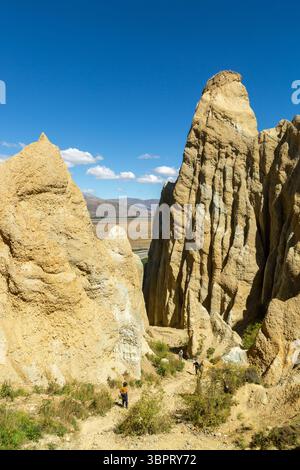 The Clay Cliffs - Pinnacles d'argile qui forment les Clay Cliffs à l'extérieur d'Omarama, Canterbury, Nouvelle-Zélande Banque D'Images