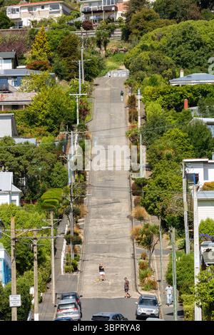 Baldwin Street, la rue la plus raide du monde avec une pente de 34,8% et est maintenant un lieu touristique populaire, Dunedin, Nouvelle-Zélande Banque D'Images