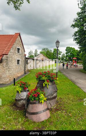 Rue de Cesis, Lettonie en été, avec de vieux bâtiments en pierre typiques et des murs, des tonneaux en pierre avec des fleurs et la rue la Banque D'Images