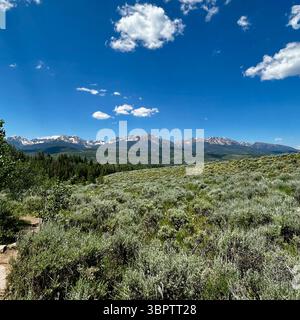 Vastes collines de Sagebrush surplombant les montagnes enneigées sous Clear Blue Sky. De vastes collines ondulantes couvertes d'arbustes denses et verts argentés. Banque D'Images