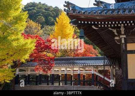 Le toit traditionnel en tuiles d'un bâtiment du temple Nanzen-ji, entouré de feuillages d'automne colorés rouge, orange et jaune. Sakyo-ku, Kyoto, Japon. Banque D'Images