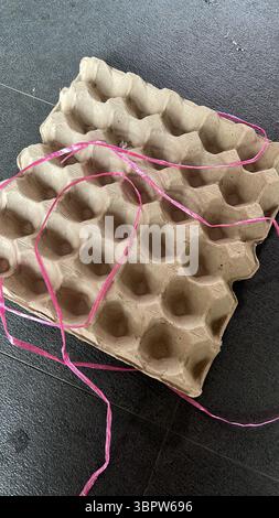 Carton d'oeuf en carton recyclé vide sur fond noir Banque D'Images