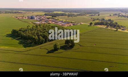 Des champs verdoyants s'étendent à travers la campagne, avec une zone boisée et des structures à proximité. Banque D'Images