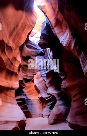 Des ondulations ensoleillées de grès rouge et orange ondulent le long des parois étroites d'Antelope Canyon à page Arizona, évoquant la grandeur silencieuse de l'Antiquité. Banque D'Images