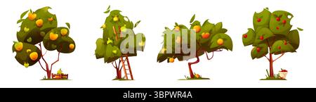Arbres de verger de dessins animés avec des fruits mûrs - pommes jaunes et rouges, poires et abricots sur des branches vertes feuillues. Ensemble de récolte agricole avec échelle, paniers et fruits tombés pour la conception de jardinage agricole. Illustration de Vecteur
