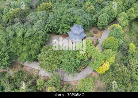 (250710) -- CHONGQING, 10 juillet 2025 (Xinhua) -- cette photo de drone aérien prise le 3 juillet 2025 montre la vue d'un parc dans le district de Jiangjin, dans la municipalité de Chongqing, au sud-ouest de la Chine. Jiangjin est situé dans un point stratégique le long du fleuve Yangtsé. Des bâtiments urbains ont été construits le long des pentes sur les rives du fleuve. De loin, ils apparaissent comme une forêt qui pousse depuis les falaises. Ces dernières années, Jiangjin a promu la gestion écologique du fleuve Yangtsé. L'amélioration de la qualité de l'eau a attiré des espèces rares de poissons à revenir. (Xinhua/Huang Wei) Banque D'Images