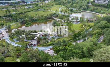 (250710) -- CHONGQING, 10 juillet 2025 (Xinhua) -- cette photo de drone aérien prise le 3 juillet 2025 montre la vue d'un parc dans le district de Jiangjin, dans la municipalité de Chongqing, au sud-ouest de la Chine. Jiangjin est situé dans un point stratégique le long du fleuve Yangtsé. Des bâtiments urbains ont été construits le long des pentes sur les rives du fleuve. De loin, ils apparaissent comme une forêt qui pousse depuis les falaises. Ces dernières années, Jiangjin a promu la gestion écologique du fleuve Yangtsé. L'amélioration de la qualité de l'eau a attiré des espèces rares de poissons à revenir. (Xinhua/Huang Wei) Banque D'Images