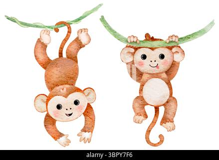 Peinture aquarelle de deux singes ludiques suspendus à des vignes vertes sur un fond blanc. Banque D'Images