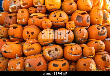 Pile de citrouilles d'Halloween sculptées avec des visages drôles et effrayants Banque D'Images