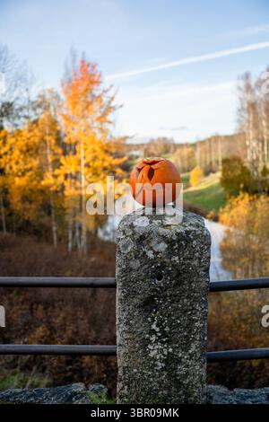 Citrouille d'Halloween sculptée sur pilier de pierre avec fond de forêt d'automne Banque D'Images