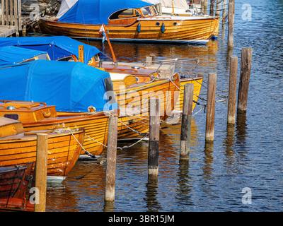 Une collection de bateaux en bois avec des bâches bleues amarrées dans une marina de Stockholm. Les bateaux sont alignés le long de poteaux en bois, reflétant dans l'eau calme. Banque D'Images