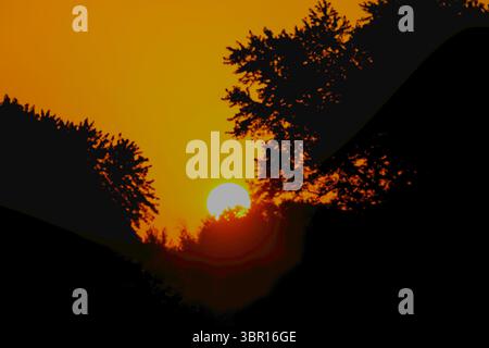 Lever de soleil ardent entre deux arbres dans la forêt d'été. Banque D'Images