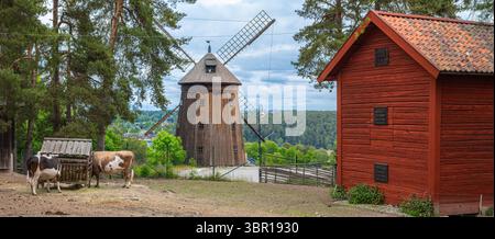 Sodertalje, Suède - 6 juin 2025 : un paysage rural pittoresque à Sodertaljee, moulin à vent traditionnel en bois, deux vaches qui paissent près d'une mangeoire, et un Banque D'Images