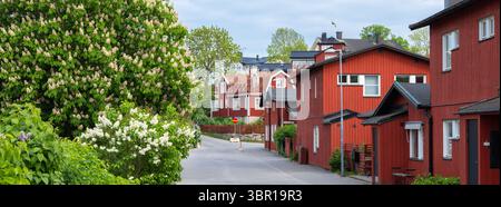 Une rue pittoresque bordée de charmantes maisons en bois rouge, entourée de verdure luxuriante et de fleurs en fleurs. La scène capture un cadre serein et invitant Banque D'Images