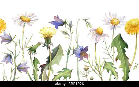 Bordure d'aquarelle sans couture avec des fleurs sauvages, peintes à la main. Illustration botanique. Pissenlits, marguerites, bluebells et feuilles vertes. Fleur sans couture Banque D'Images
