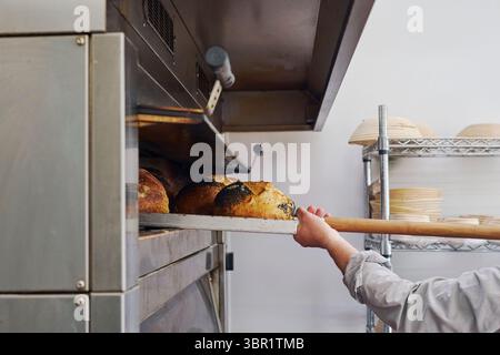 Gros plan de Male Baker prenant des pains Sourdough hors du four avec paddle dans Bakery Banque D'Images