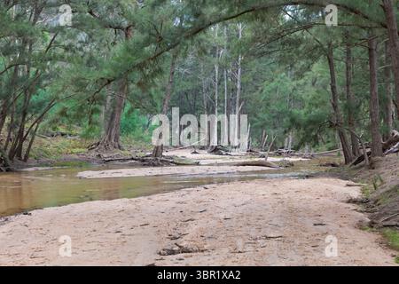 Photographie de la rivière Capertee à des niveaux très bas traversant la vallée de Capertee après des dégâts importants causés par les inondations dans le parc national de Wollemi. Banque D'Images