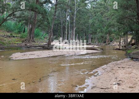 Photographie de la rivière Capertee à des niveaux très bas traversant la vallée de Capertee après des dégâts importants causés par les inondations dans le parc national de Wollemi. Banque D'Images