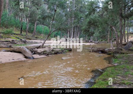 Photographie de la rivière Capertee à des niveaux très bas traversant la vallée de Capertee après des dégâts importants causés par les inondations dans le parc national de Wollemi. Banque D'Images