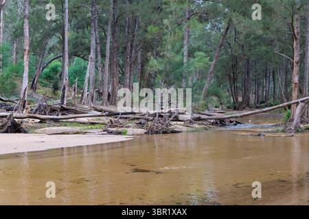 Photographie de la rivière Capertee à des niveaux très bas traversant la vallée de Capertee après des dégâts importants causés par les inondations dans le parc national de Wollemi. Banque D'Images