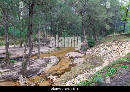 Photographie de la rivière Capertee à des niveaux très bas traversant la vallée de Capertee après des dégâts importants causés par les inondations dans le parc national de Wollemi. Banque D'Images