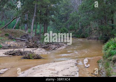 Photographie de la rivière Capertee à des niveaux très bas traversant la vallée de Capertee après des dégâts importants causés par les inondations dans le parc national de Wollemi. Banque D'Images