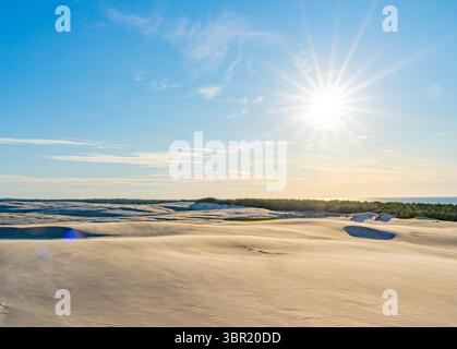 Vue ensoleillée sur les célèbres dunes de sable mobiles 'Ruchome Wydmy'. Un paysage désertique naturel unique en Europe du Nord. Banque D'Images