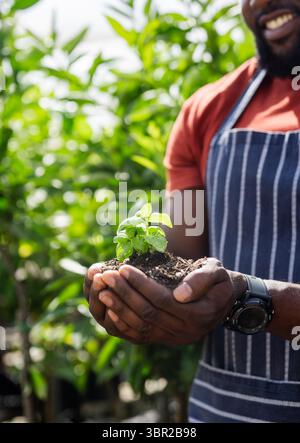 Homme afro-américain portant un tablier tenant du sol et plantant des semis vert vif en serre. Horticulture, durabilité, croissance, naturel, organe Banque D'Images